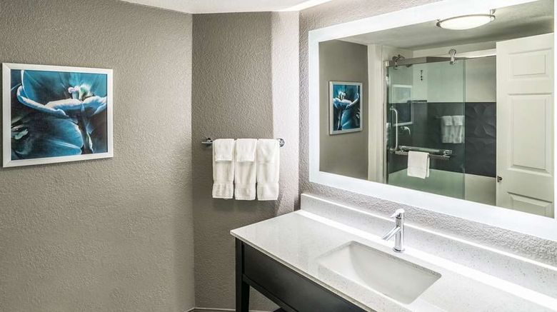 <b>La Quinta Inn & Stes Phoenix Chandler Room</b>. Images powered by <a href="https://iceportal.shijigroup.com/" title="IcePortal" target="_blank">IcePortal</a>.