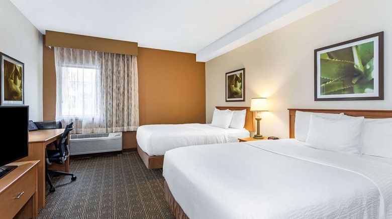 <b>Baymont by Wyndham Orlando South Room</b>. Images powered by <a href="https://iceportal.shijigroup.com/" title="IcePortal" target="_blank">IcePortal</a>.