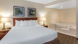 Baymont by Wyndham Orlando South Suite