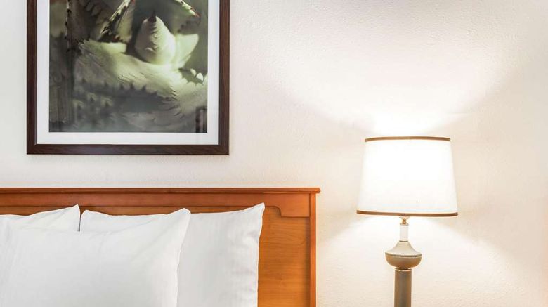 <b>Baymont by Wyndham Orlando South Room</b>. Images powered by <a href="https://iceportal.shijigroup.com/" title="IcePortal" target="_blank">IcePortal</a>.