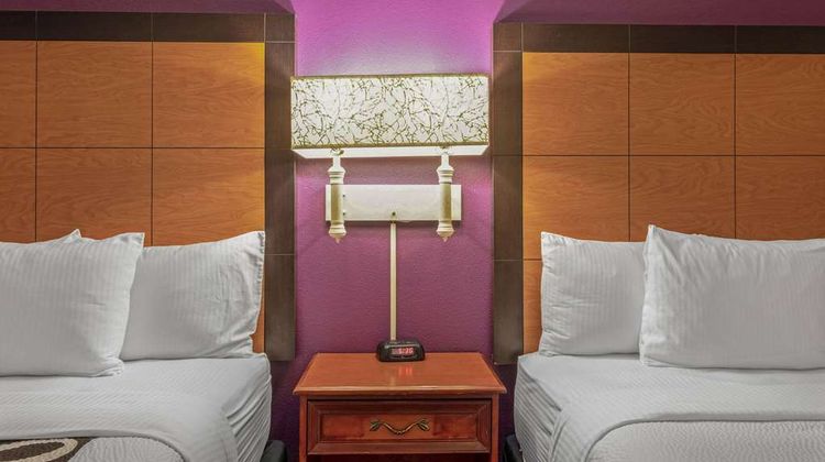 La Quinta Inn Naples Room