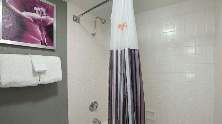<b>La Quinta Inn & Suites Rancho Cordova Room</b>. Images powered by <a href="https://iceportal.shijigroup.com/" title="IcePortal" target="_blank">IcePortal</a>.