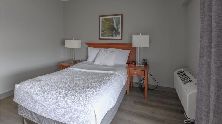 La Quinta Inn & Suites New Haven Room