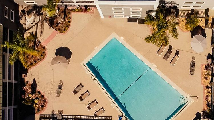 La Quinta Inn Tampa Near Busch Gardens Pool
