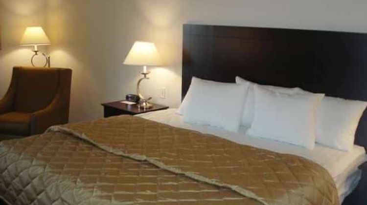La Quinta Inn & Suites Port Orange Room