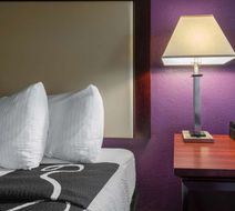 La Quinta Inn & Suites Loveland Room