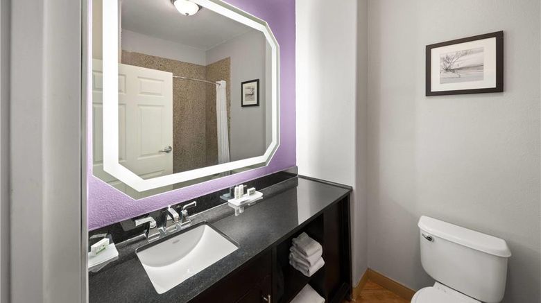 <b>La Quinta Inn & Suites Brownwood Room</b>. Images powered by <a href="https://iceportal.shijigroup.com/" title="IcePortal" target="_blank">IcePortal</a>.