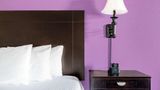 <b>La Quinta Inn & Suites Alamo Room</b>. Images powered by <a href="https://iceportal.shijigroup.com/" title="IcePortal" target="_blank">IcePortal</a>.