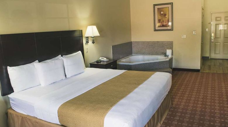 <b>La Quinta Inn & Suites Alice Suite</b>. Images powered by <a href="https://iceportal.shijigroup.com/" title="IcePortal" target="_blank">IcePortal</a>.