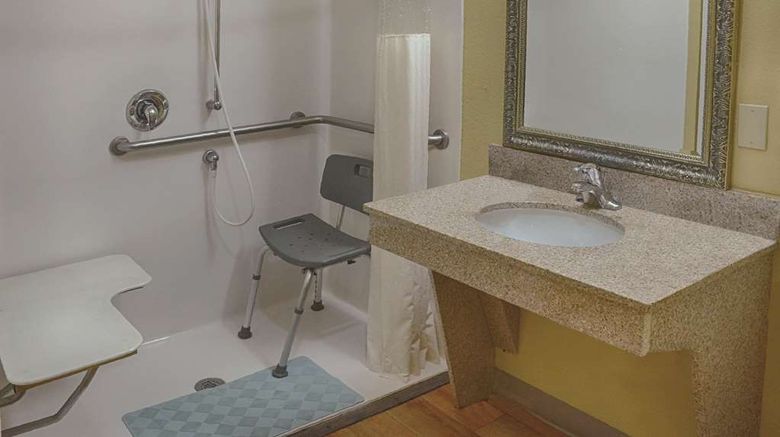 <b>La Quinta Inn & Suites Alice Room</b>. Images powered by <a href="https://iceportal.shijigroup.com/" title="IcePortal" target="_blank">IcePortal</a>.