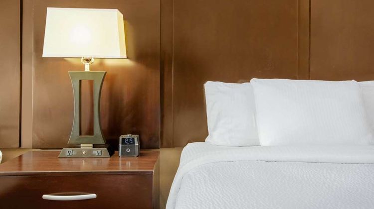 La Quinta Inn & Suites Conway Room