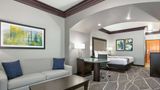 <b>La Quinta Inn & Suites Bryant Suite</b>. Images powered by <a href="https://iceportal.shijigroup.com/" title="IcePortal" target="_blank">IcePortal</a>.