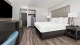 <b>La Quinta Inn & Suites Dallas I-35 Room</b>. Images powered by <a href="https://iceportal.shijigroup.com/" title="IcePortal" target="_blank">IcePortal</a>.