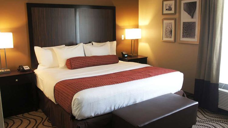 La Quinta Inn & Suites Gonzales Suite