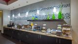 La Quinta Inn & Suites Pearsall Other