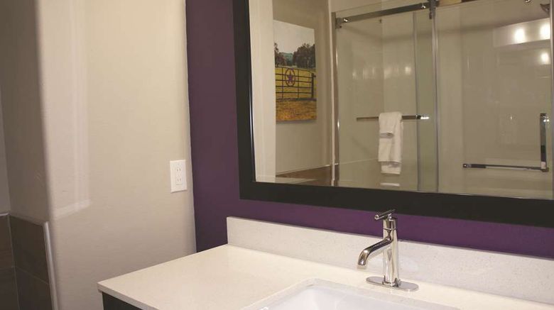 <b>La Quinta Inn & Suites Pharr North Suite</b>. Images powered by <a href="https://iceportal.shijigroup.com/" title="IcePortal" target="_blank">IcePortal</a>.