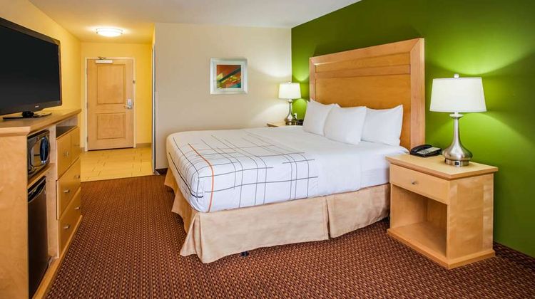 La Quinta Inn & Suites Rochester Room