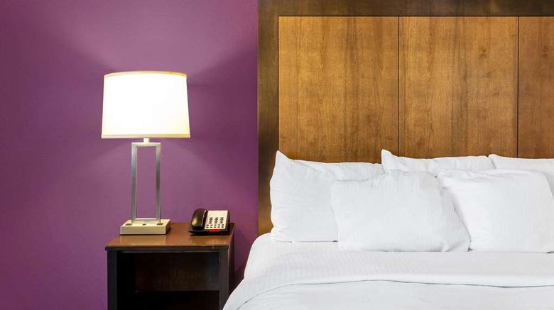 <b>La Quinta Inn & Suites Monahans Room</b>. Images powered by <a href="https://iceportal.shijigroup.com/" title="IcePortal" target="_blank">IcePortal</a>.