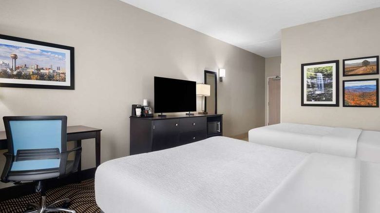 <b>La Quinta Inn & Stes Knoxville Airport Room</b>. Images powered by <a href="https://iceportal.shijigroup.com/" title="IcePortal" target="_blank">IcePortal</a>.
