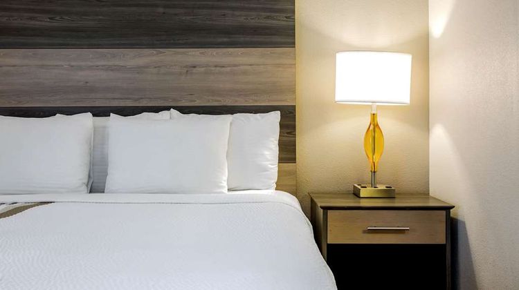 La Quinta Inn & Suites Andrews Room