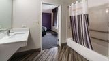 La Quinta Inn/Stes San Antonio Downtown Room
