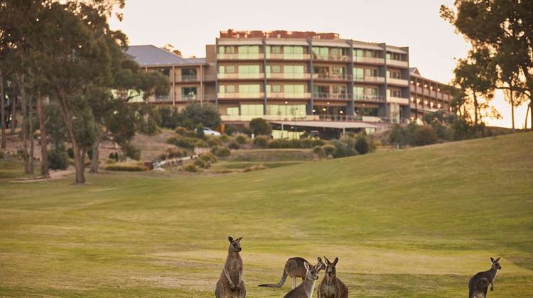 RACV Goldfields Resort Creswick Other