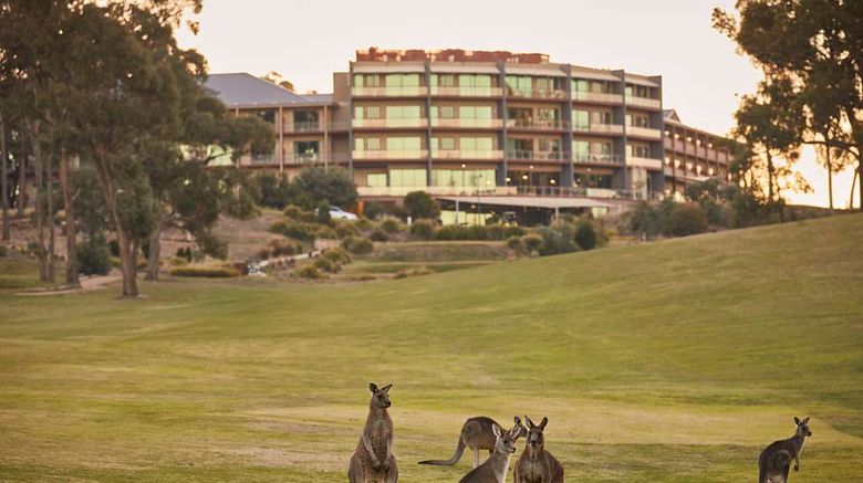 <b>RACV Goldfields Resort Creswick Other</b>. Images powered by <a href="https://iceportal.shijigroup.com/" title="IcePortal" target="_blank">IcePortal</a>.