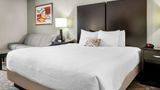 Best Western Okemos/E Lansing Hotel Stes Room