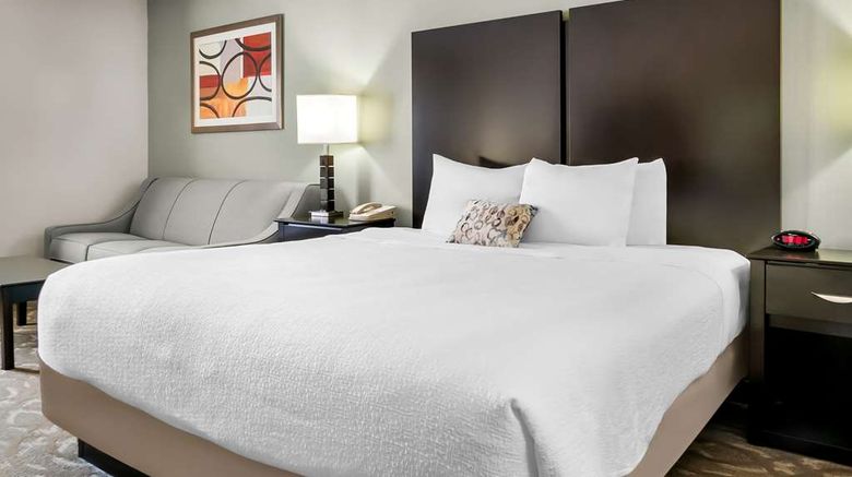 <b>Best Western Okemos/E Lansing Hotel Stes Room</b>. Images powered by <a href="https://iceportal.shijigroup.com/" title="IcePortal" target="_blank">IcePortal</a>.