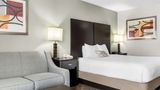 Best Western Okemos/E Lansing Hotel Stes Room