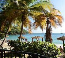 Emerald Beach Resort Room