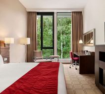 Dolce La Hulpe Brussels Room