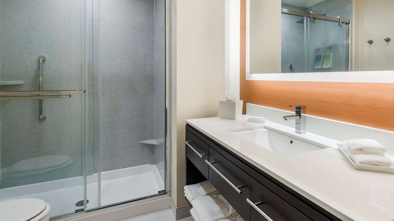 <b>Home2 Suites Atlanta Downtown Room</b>. Images powered by <a href="https://iceportal.shijigroup.com/" title="IcePortal" target="_blank">IcePortal</a>.