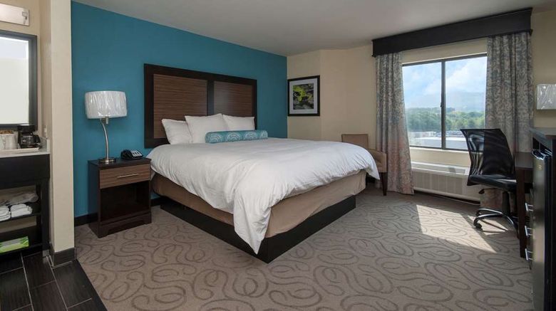 <b>Best Western Travelers Rest/Greenville Room</b>. Images powered by <a href="https://iceportal.shijigroup.com/" title="IcePortal" target="_blank">IcePortal</a>.