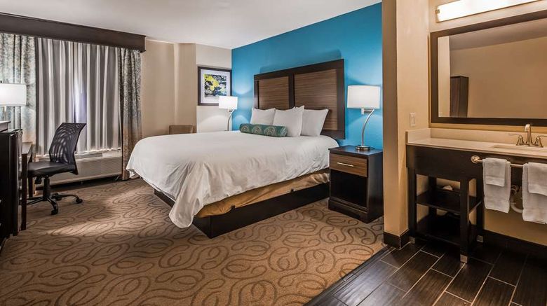 <b>Best Western Travelers Rest/Greenville Room</b>. Images powered by <a href="https://iceportal.shijigroup.com/" title="IcePortal" target="_blank">IcePortal</a>.