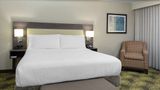 Hilton Garden Inn Reagan Natl Airport Room