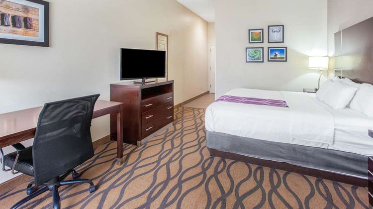 La Quinta Inn & Suites Luling Room