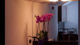 <b>LH Hotel & Spa Room</b>. Images powered by <a href="https://iceportal.shijigroup.com/" title="IcePortal" target="_blank">IcePortal</a>.