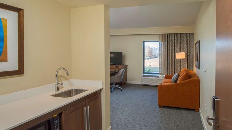 Hampton Inn & Suites Braselton Other