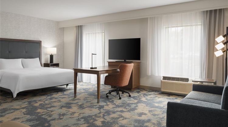 Hampton Inn & Suites Braselton Room