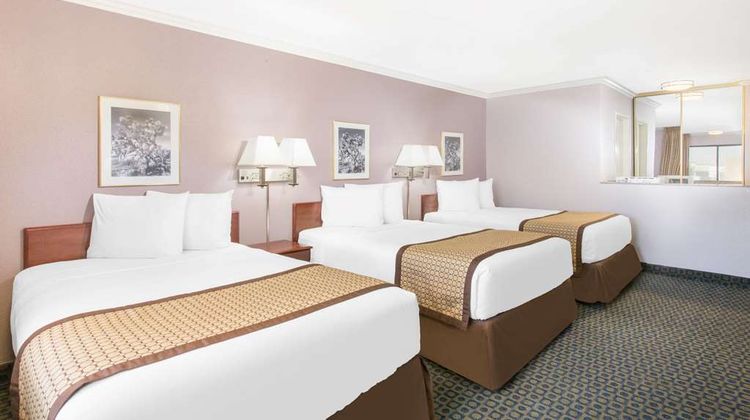 Days Inn by Wyndham, Indio Room