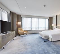 DoubleTree by Hilton Shenzhen Longhua Room
