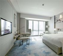 DoubleTree by Hilton Shenzhen Longhua Room