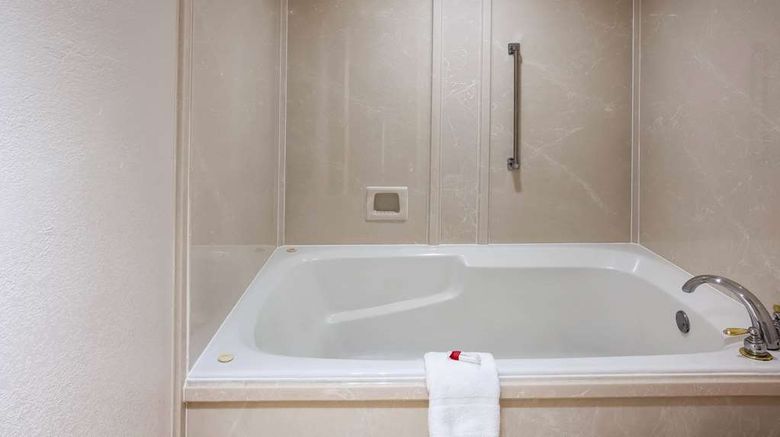 <b>Days Inn & Suites Tyler Room</b>. Images powered by <a href="https://iceportal.shijigroup.com/" title="IcePortal" target="_blank">IcePortal</a>.