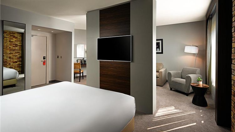 The Absolute Hotel Room