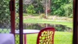 York on Lilydale Resort Room