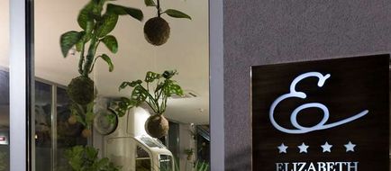 Executive Suite Hotel Exterior