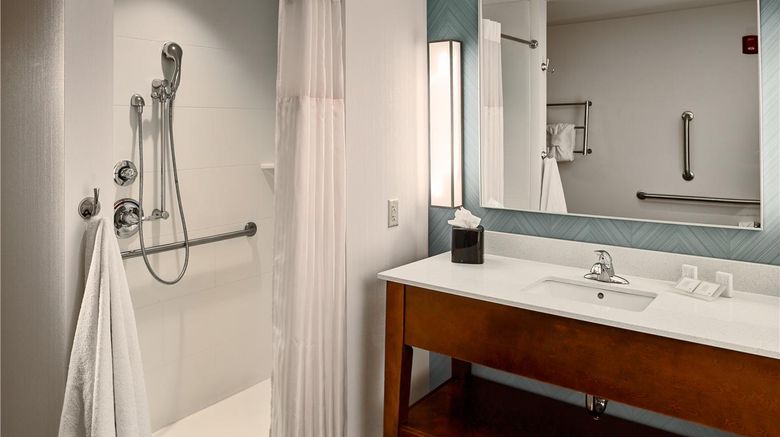 <b>Hilton Garden Inn Pigeon Forge Room</b>. Images powered by <a href="https://iceportal.shijigroup.com/" title="IcePortal" target="_blank">IcePortal</a>.