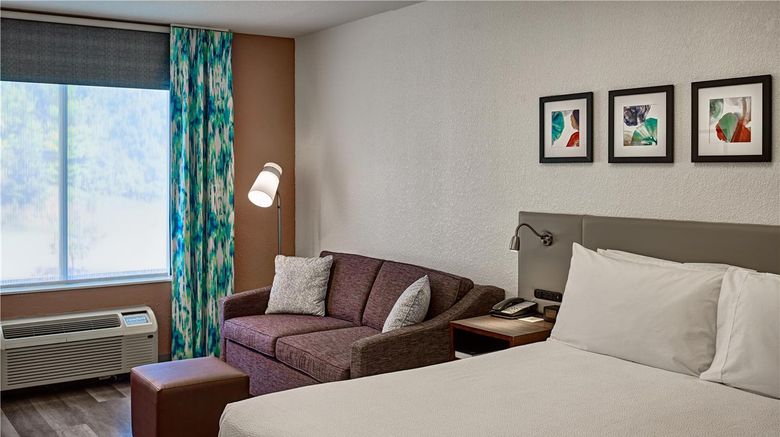 <b>Hilton Garden Inn Pigeon Forge Room</b>. Images powered by <a href="https://iceportal.shijigroup.com/" title="IcePortal" target="_blank">IcePortal</a>.
