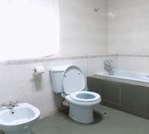 Posh Apartments & Hotel Room